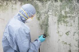 Best Airborne Mold Testing  in Portage, PA